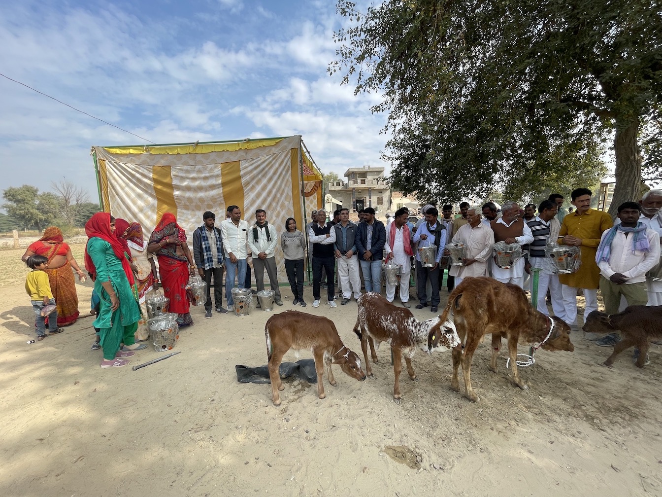 राष्ट्रीय डेयरी विकास परियोजना -NDDB-World Bank